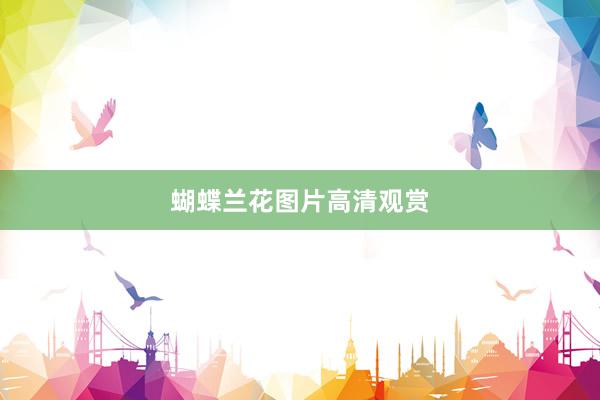 蝴蝶兰花图片高清观赏